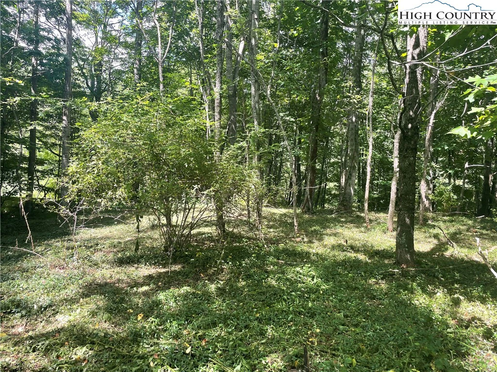 Image number 14 for the current listing