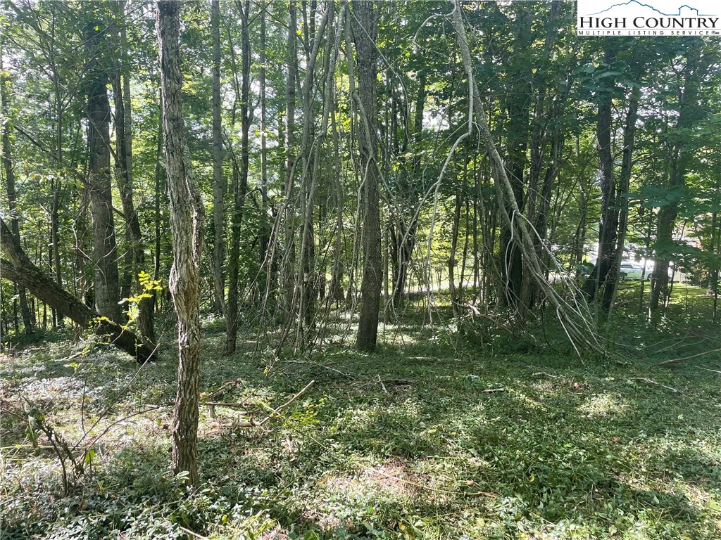 Image number 2 for the current listing