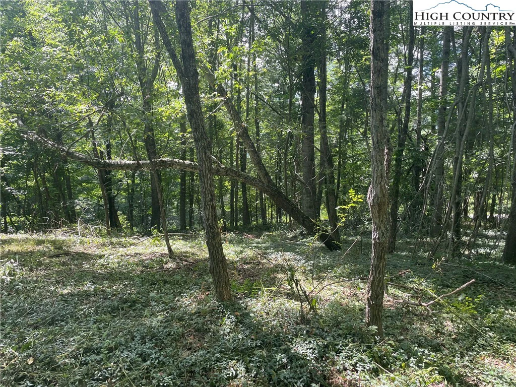 Image number 21 for the current listing