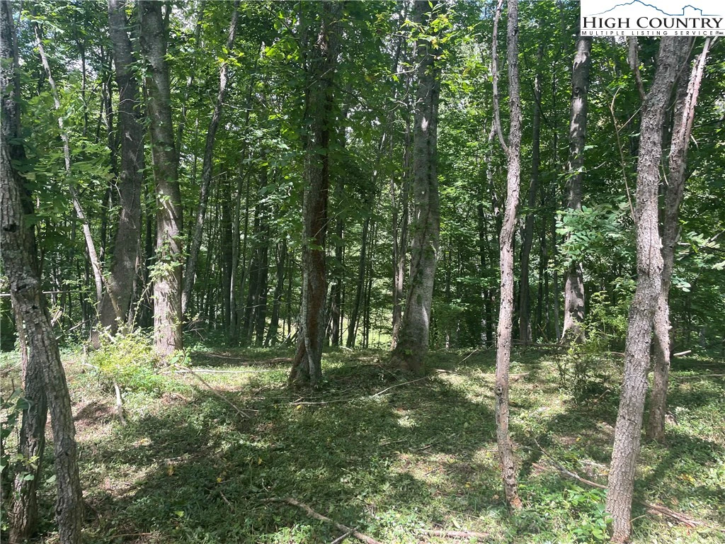 Image number 10 for the current listing