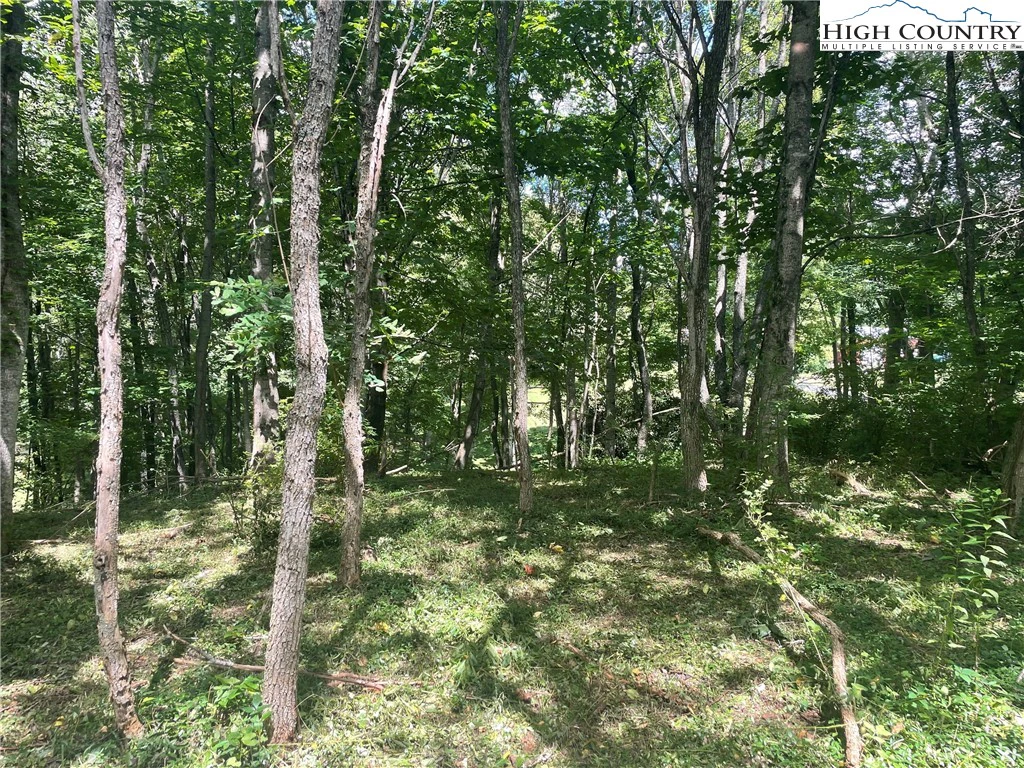 Image number 9 for the current listing