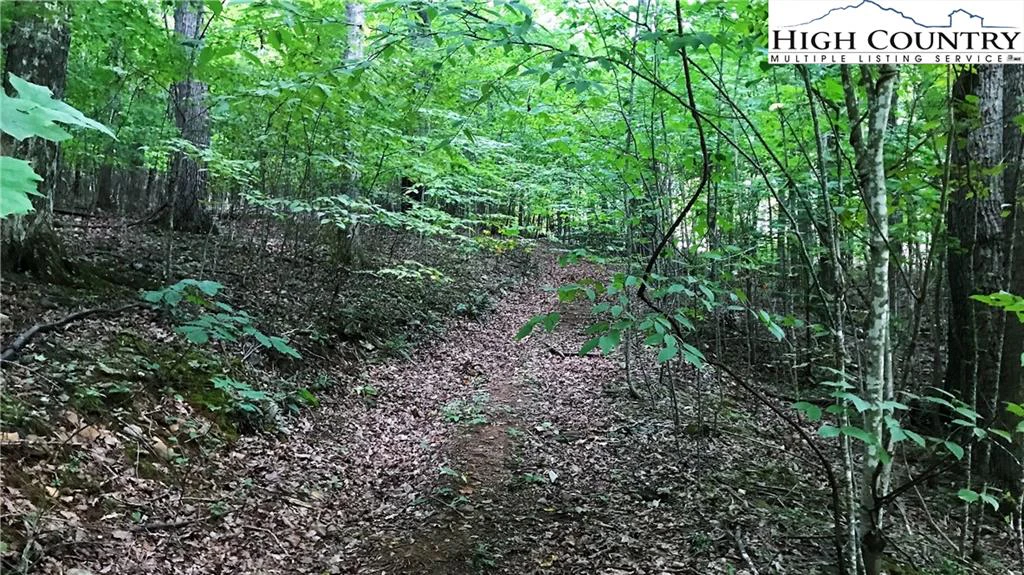Image number 1 for the current listing