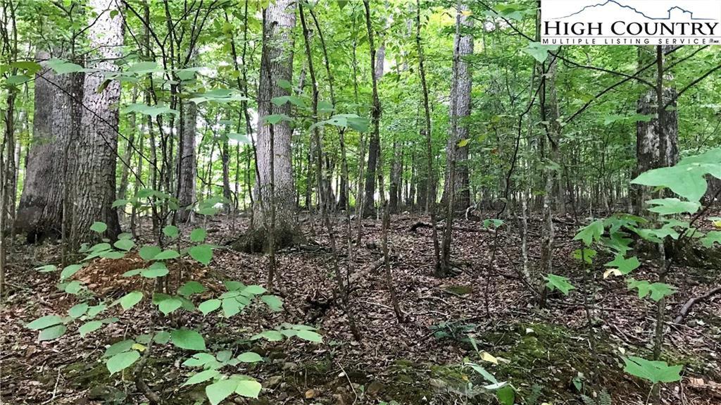 Image number 3 for the current listing