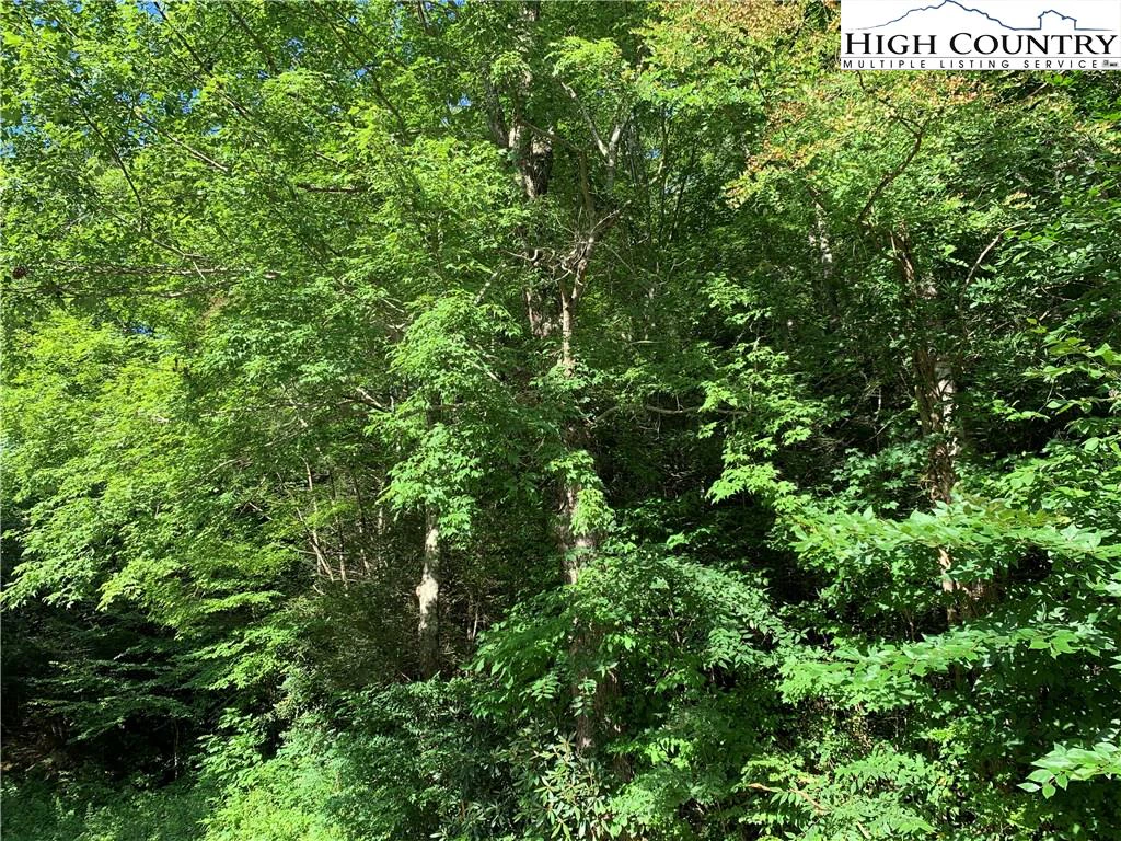Image number 3 for the current listing