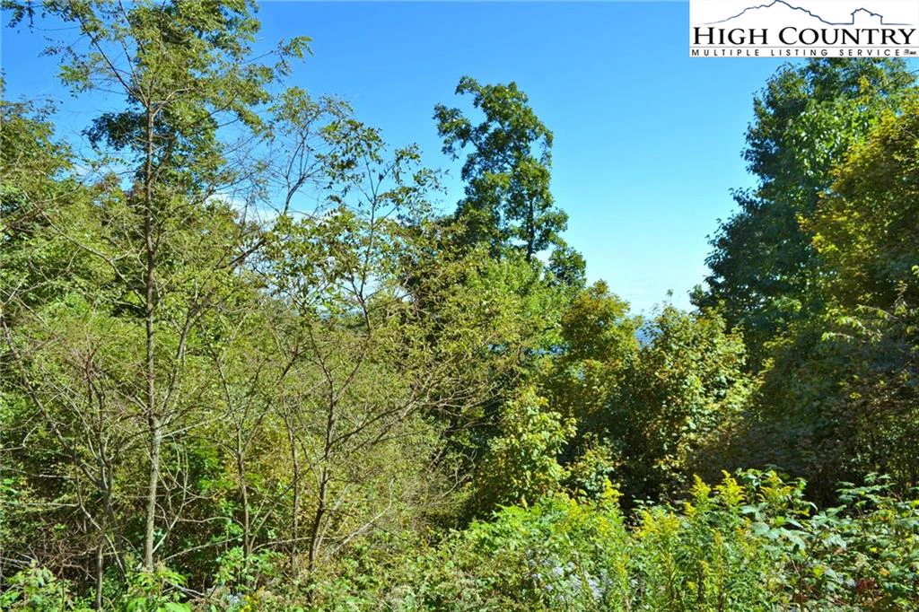 Image number 1 for the current listing