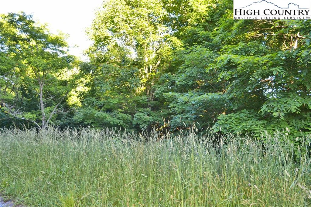 Image number 3 for the current listing