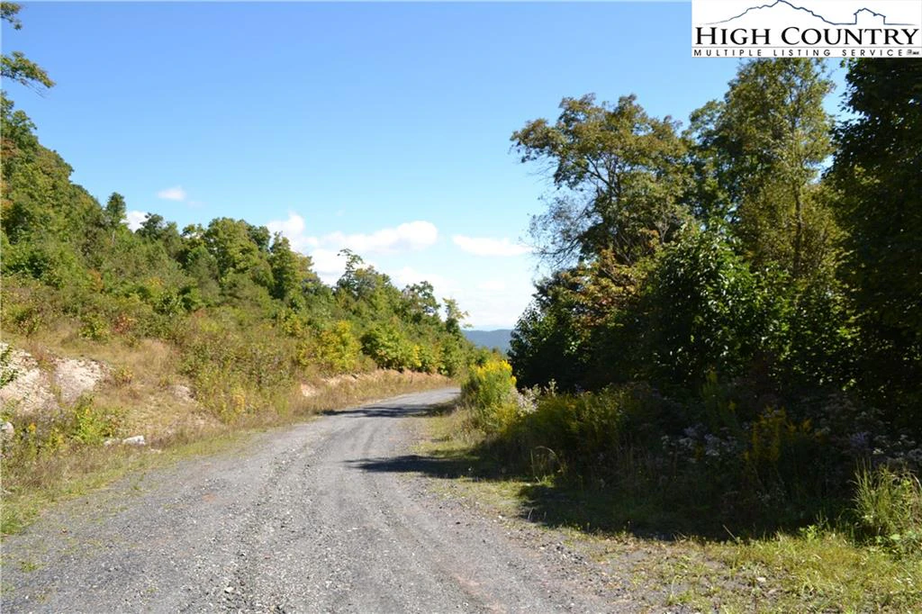 Image number 4 for the current listing