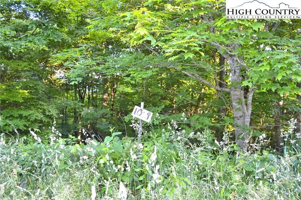 Image number 5 for the current listing
