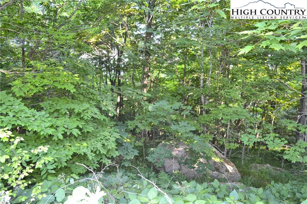 Image number 6 for the current listing