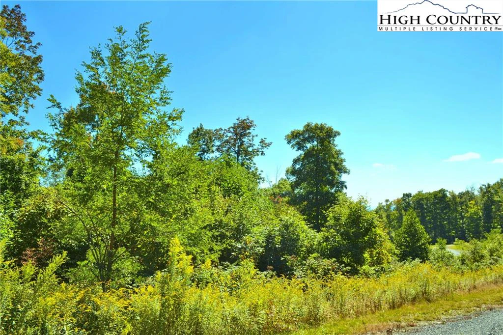 Image number 1 for the current listing