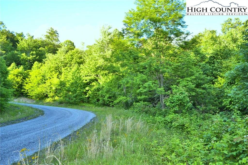 Image number 3 for the current listing