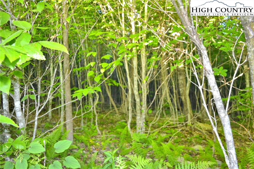 Image number 5 for the current listing