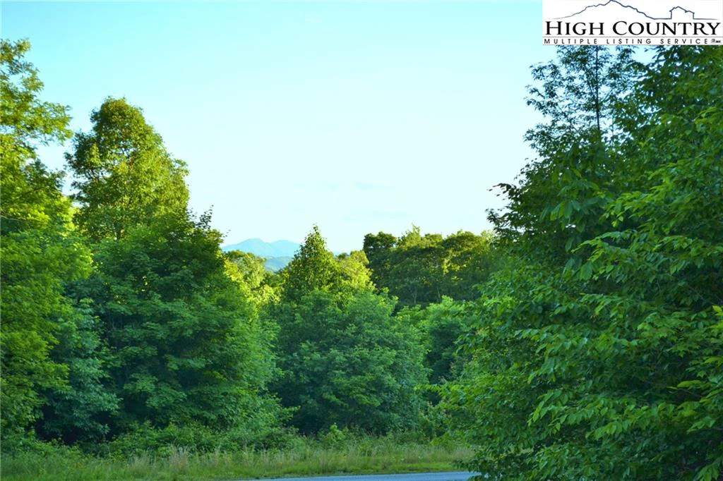 Image number 6 for the current listing