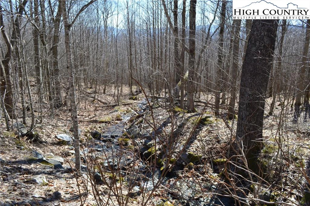 Image number 1 for the current listing