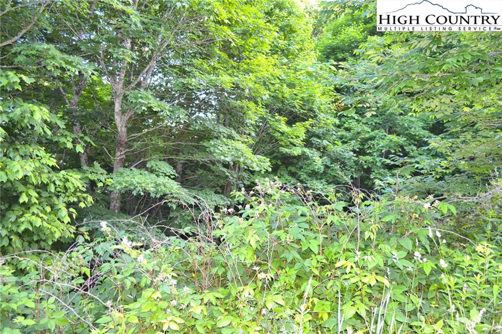 Image number 11 for the current listing