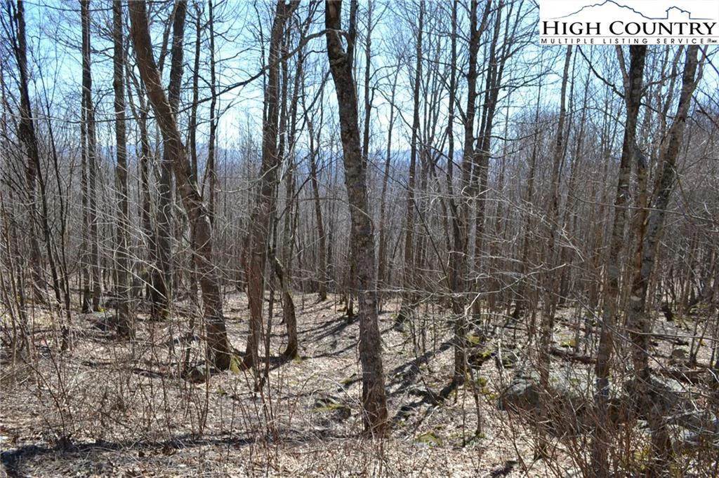 Image number 3 for the current listing