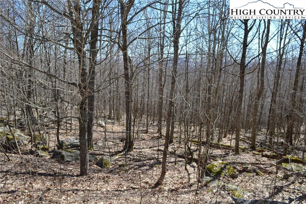 Image number 4 for the current listing