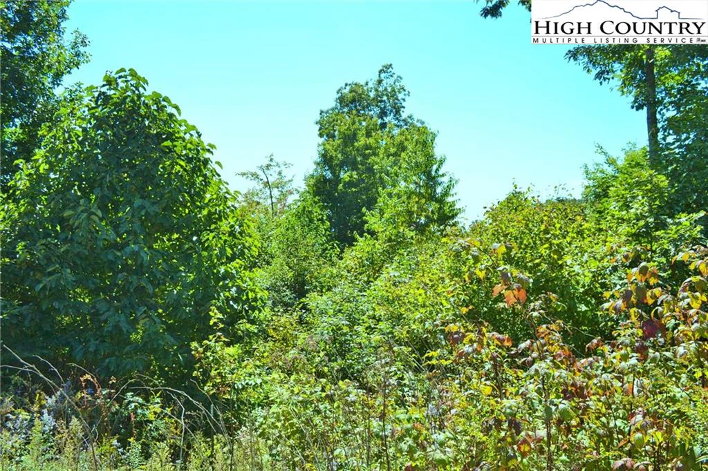 Image number 7 for the current listing