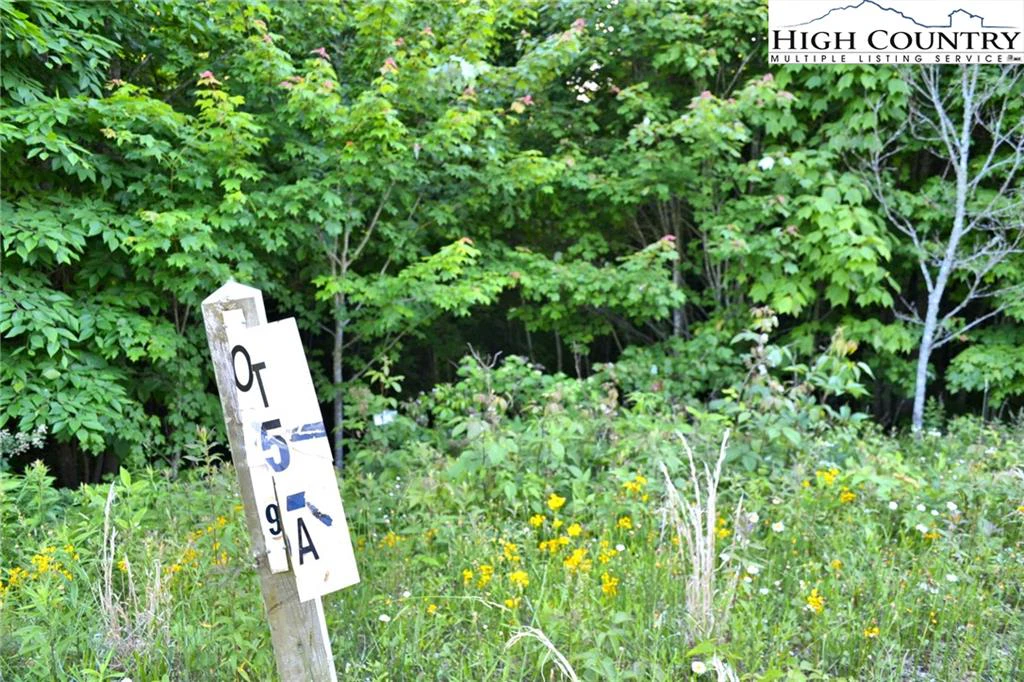 Image number 9 for the current listing