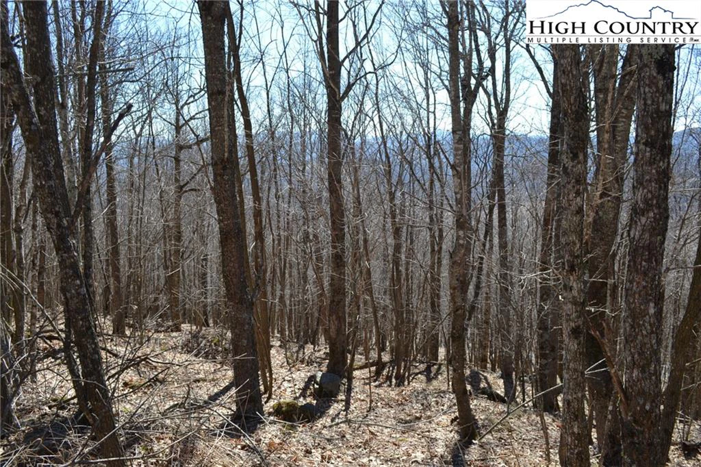 Image number 1 for the current listing