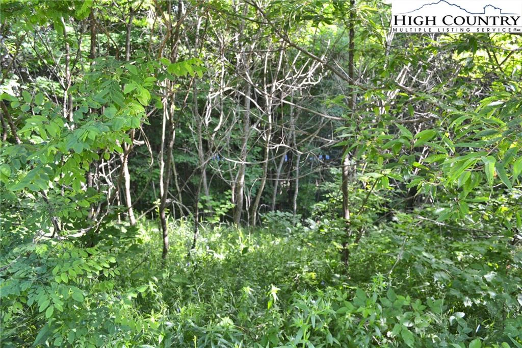 Image number 13 for the current listing
