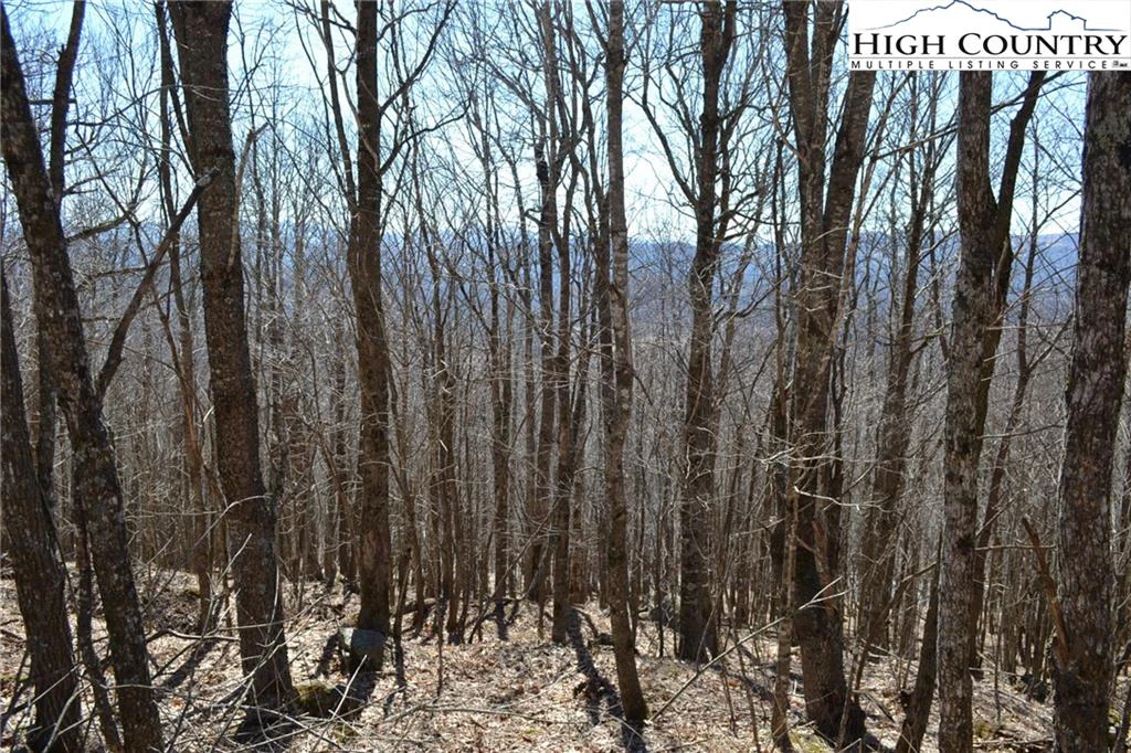 Image number 3 for the current listing