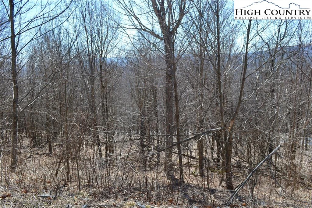 Image number 5 for the current listing