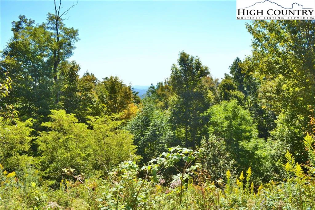 Image number 7 for the current listing