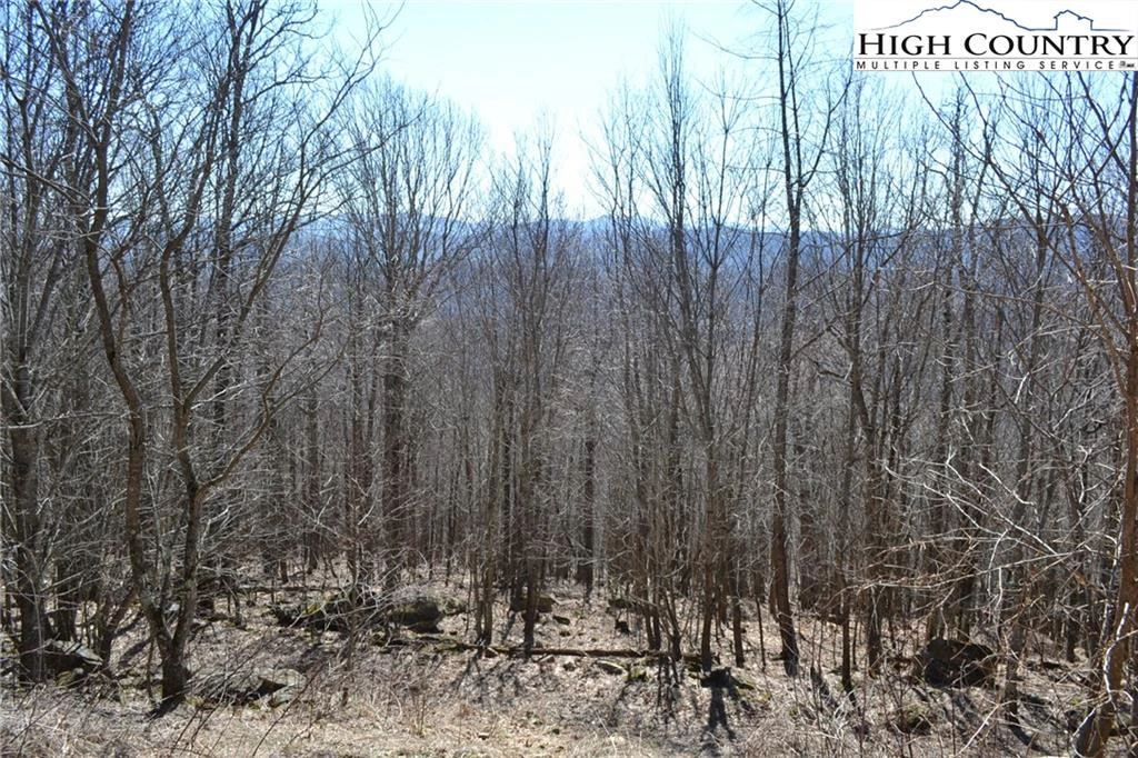 Image number 1 for the current listing