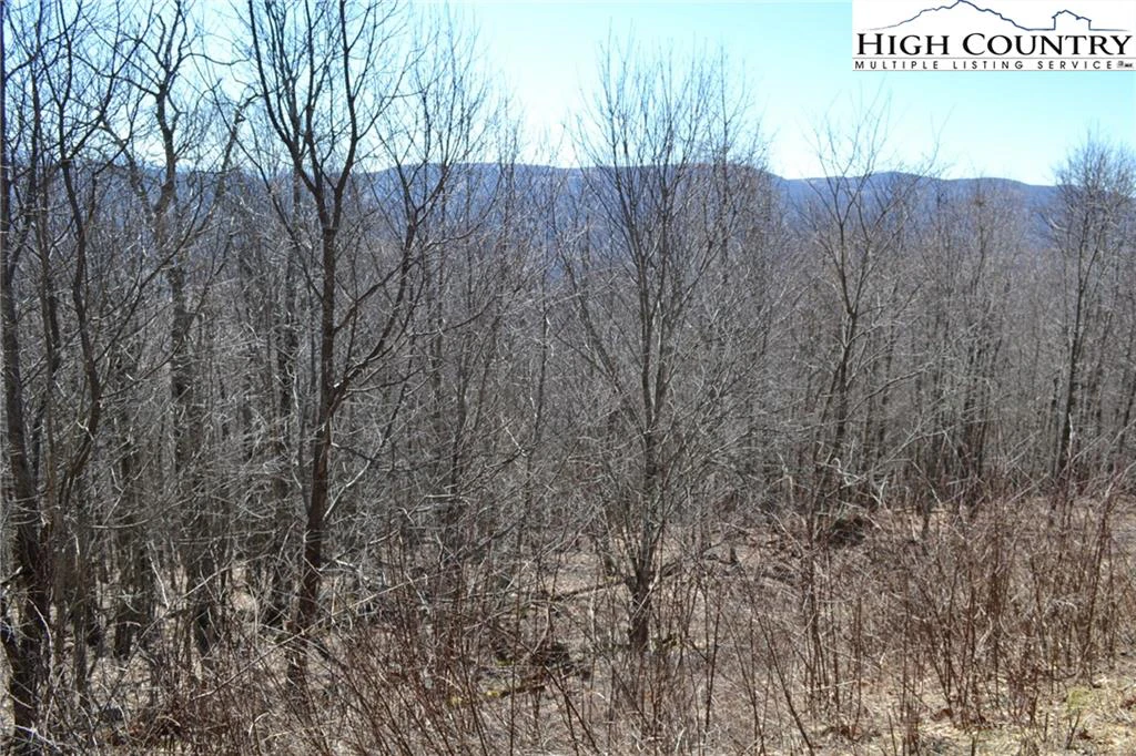 Image number 3 for the current listing