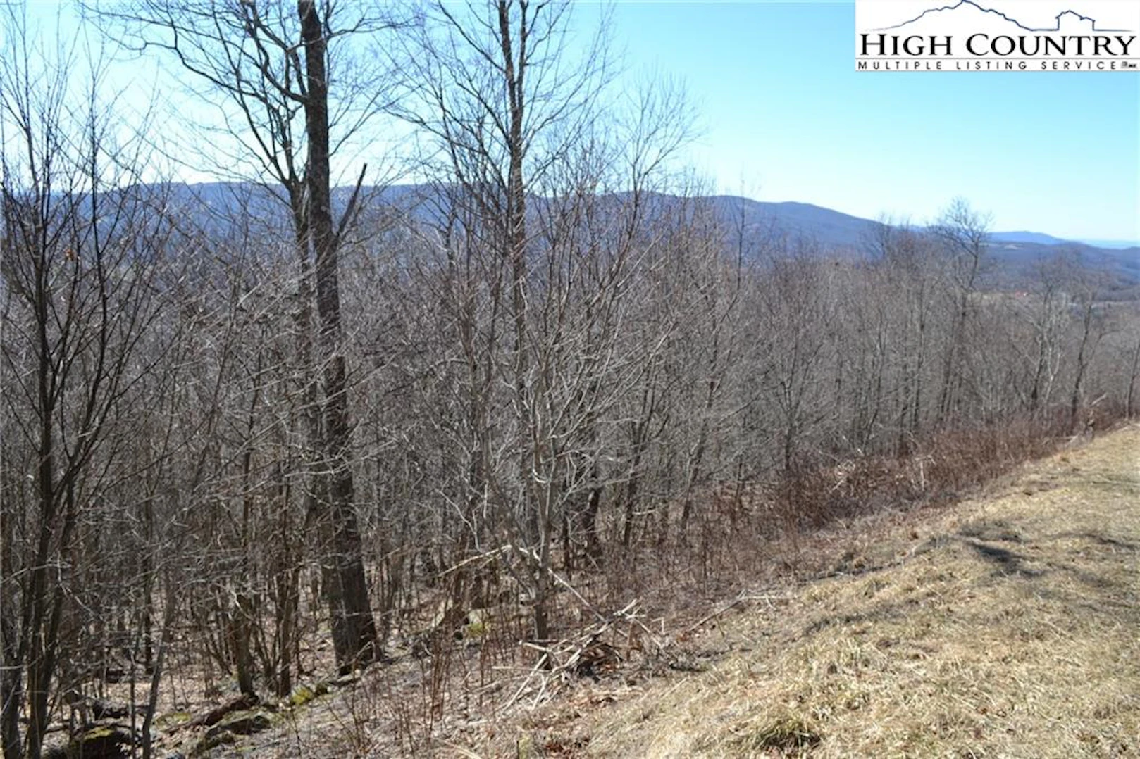 Image number 4 for the current listing