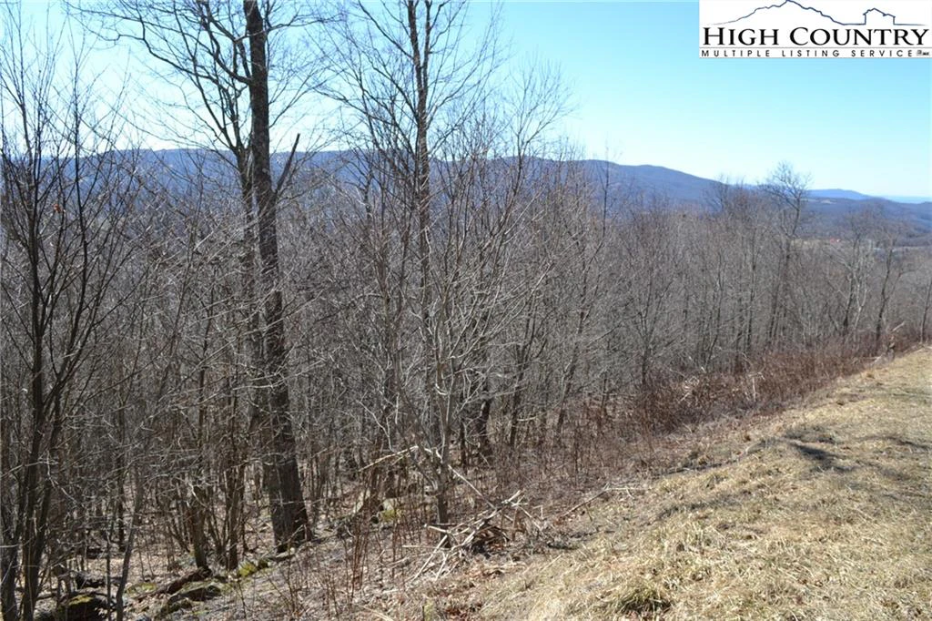 Image number 4 for the current listing