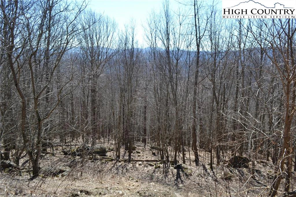 Image number 5 for the current listing