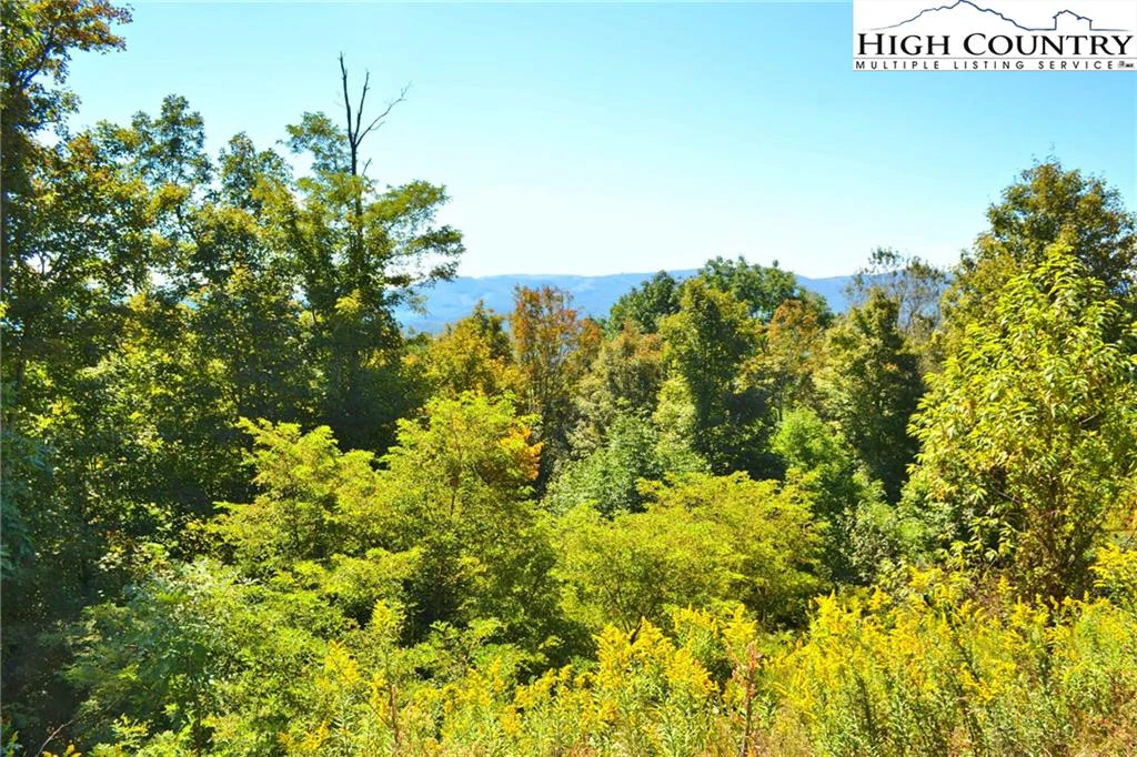 Image number 6 for the current listing