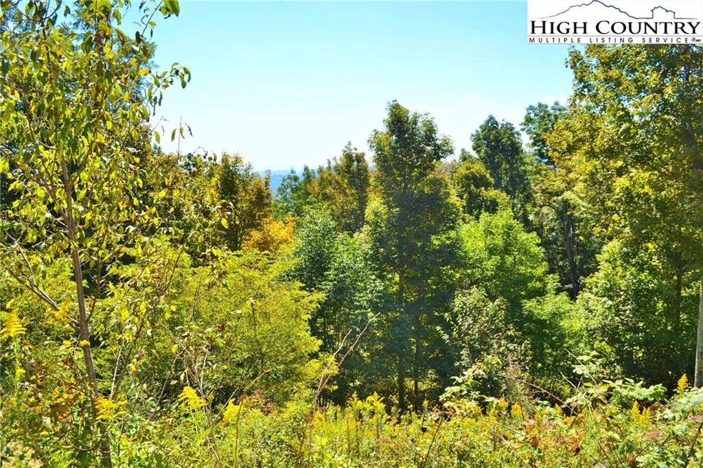 Image number 9 for the current listing