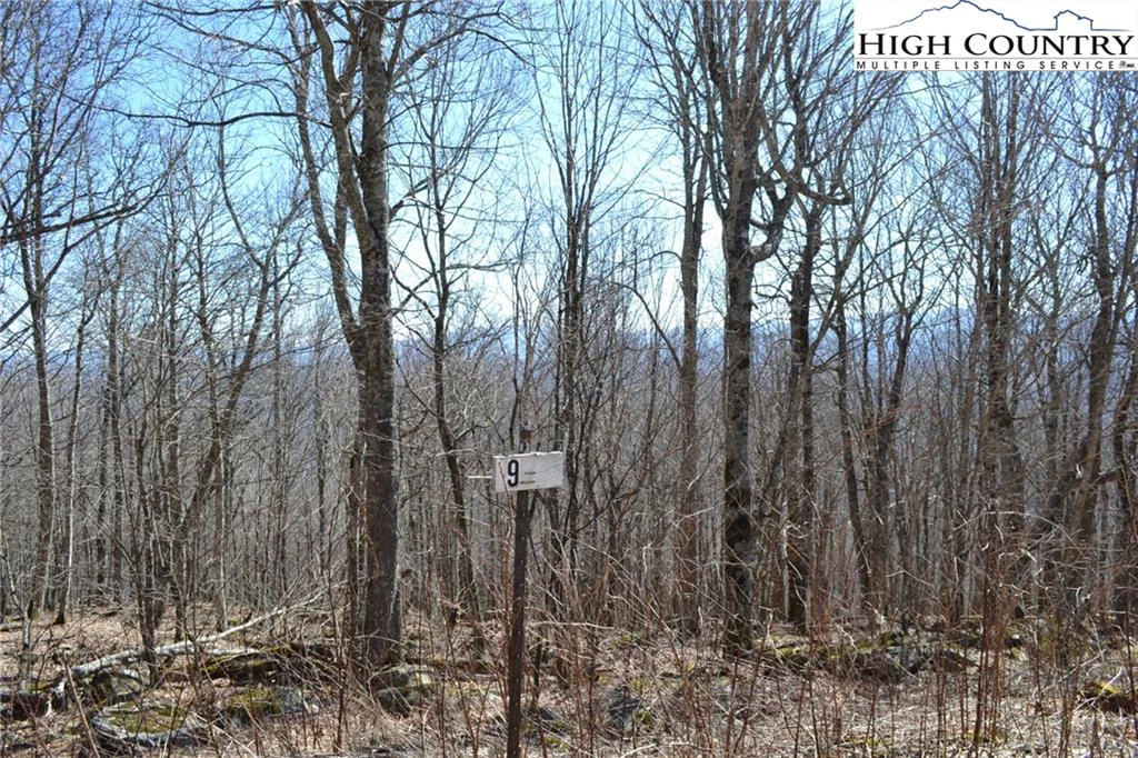 Image number 1 for the current listing