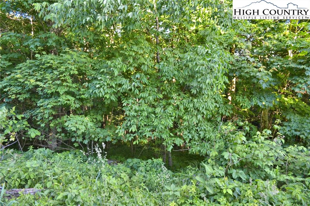 Image number 11 for the current listing