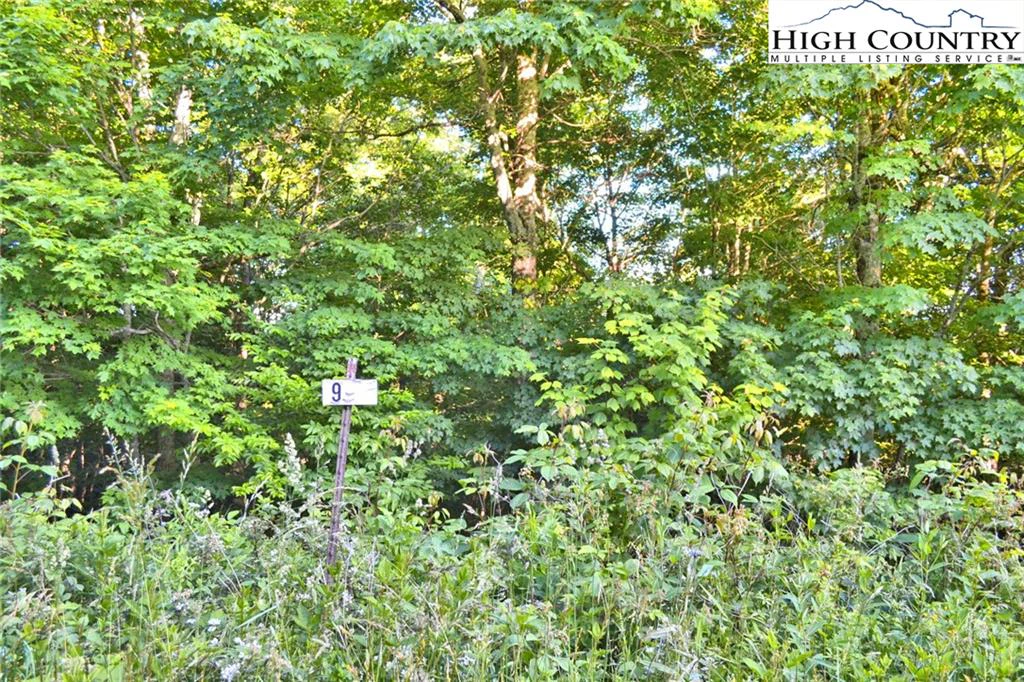 Image number 12 for the current listing