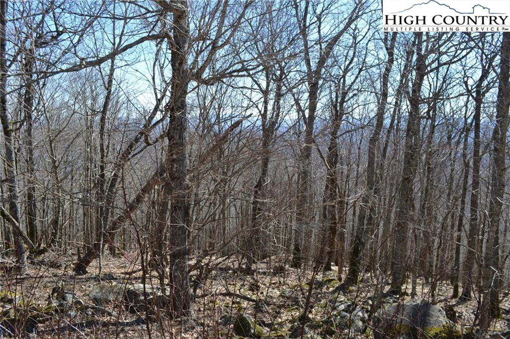 Image number 3 for the current listing