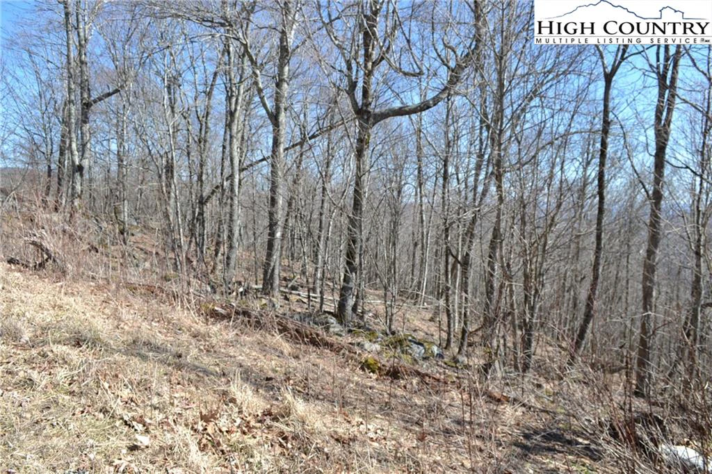 Image number 5 for the current listing