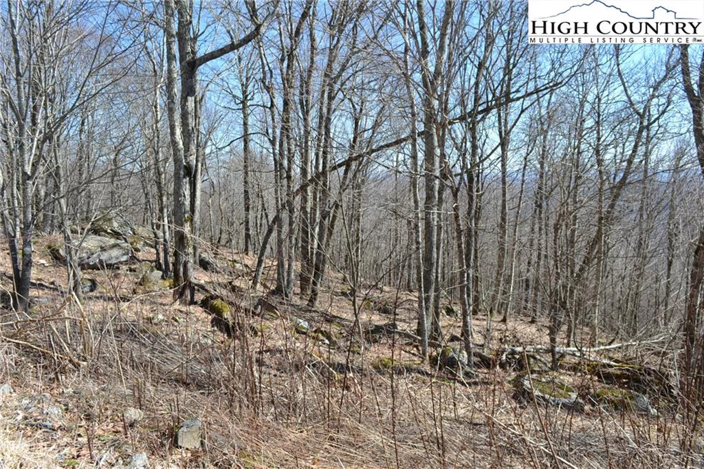 Image number 6 for the current listing