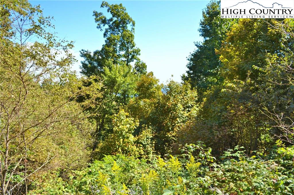 Image number 7 for the current listing