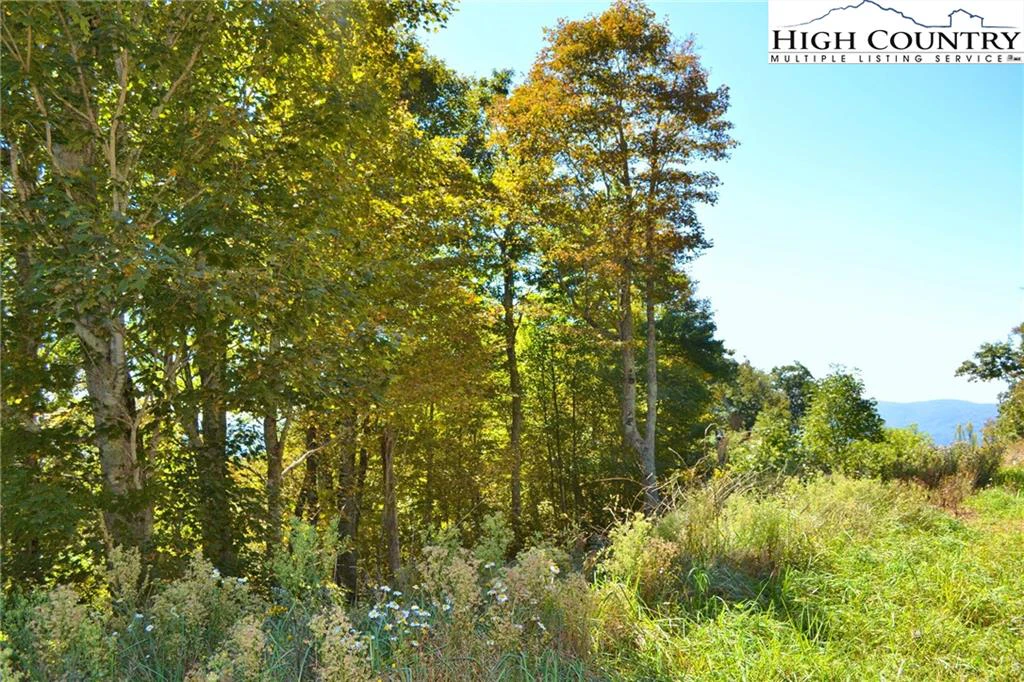 Image number 8 for the current listing
