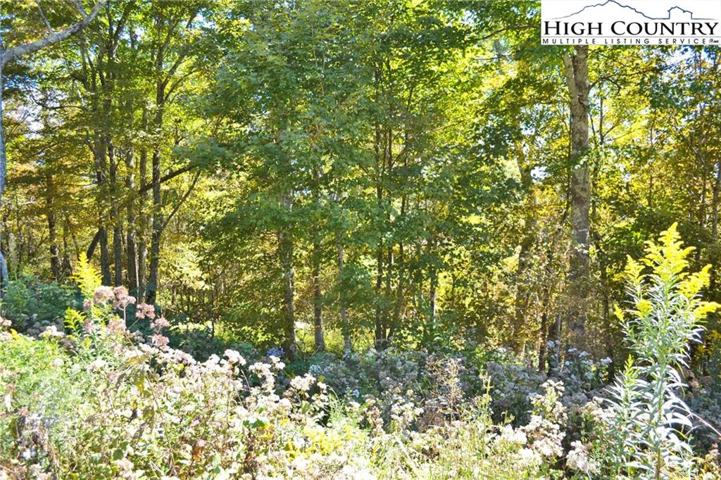 Image number 9 for the current listing