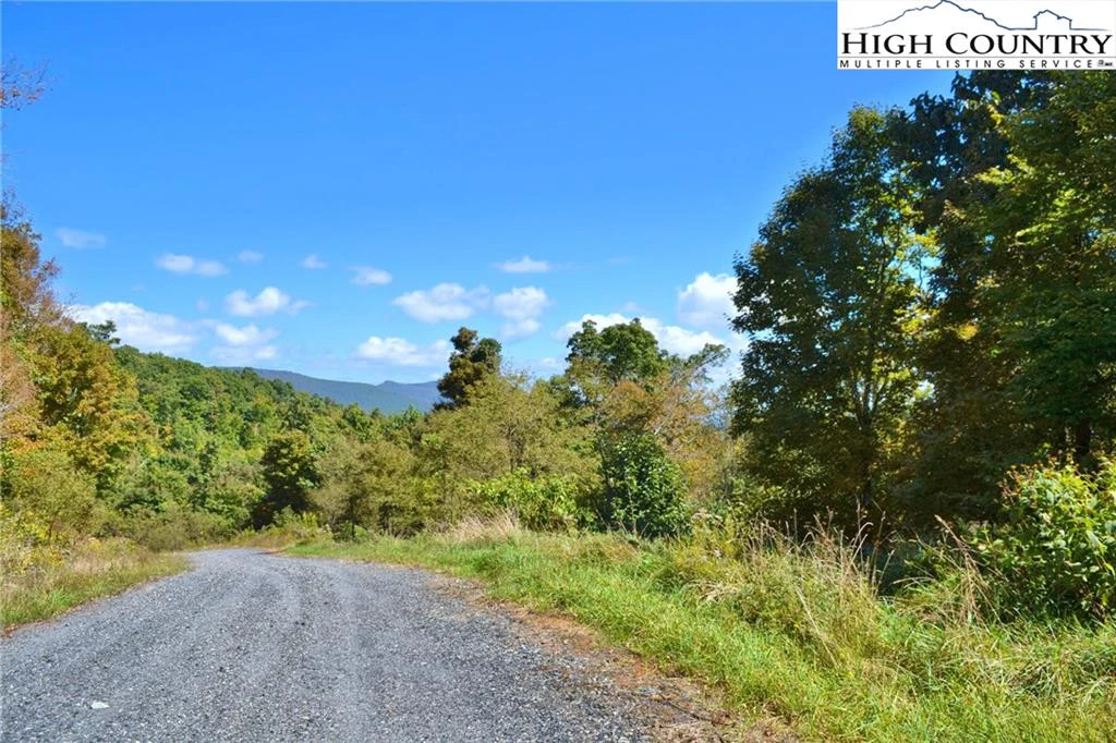 Image number 10 for the current listing