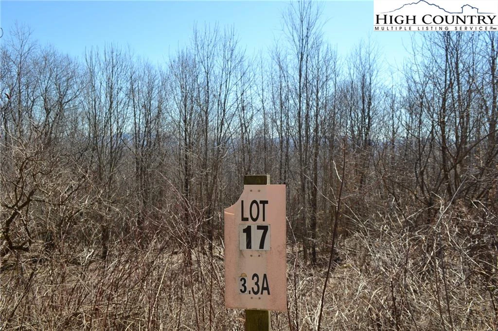 Image number 1 for the current listing