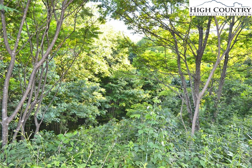 Image number 11 for the current listing