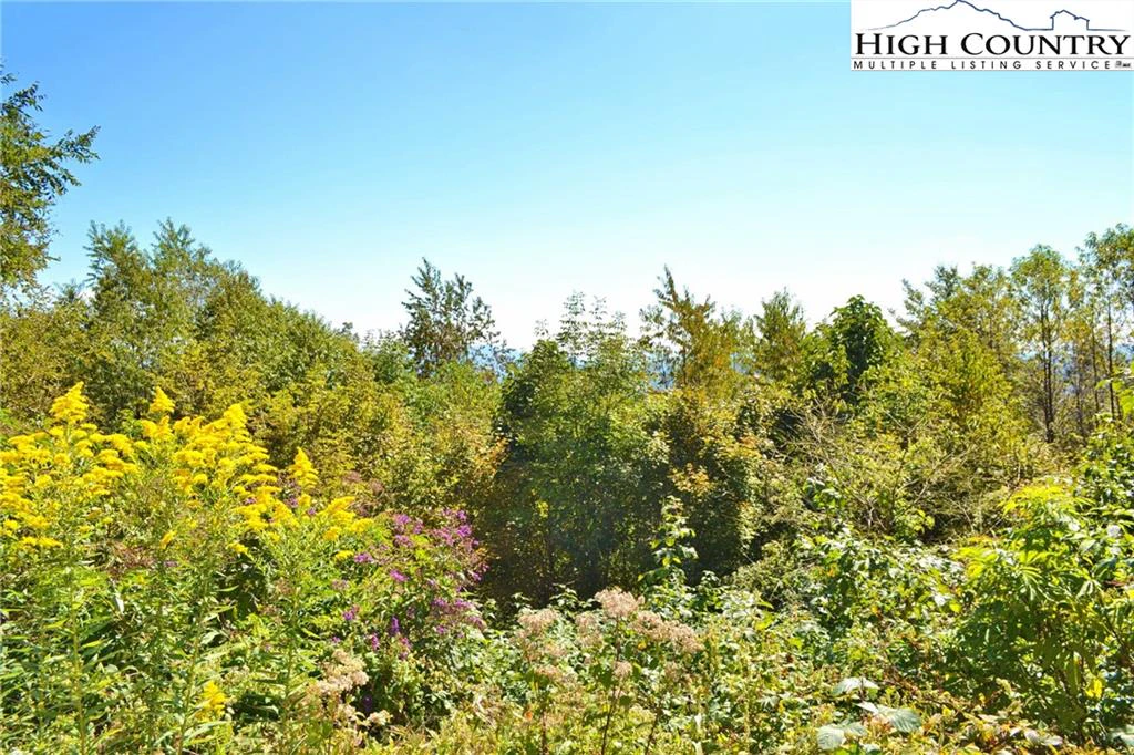Image number 13 for the current listing