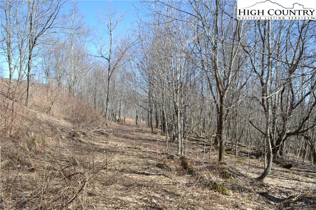 Image number 3 for the current listing
