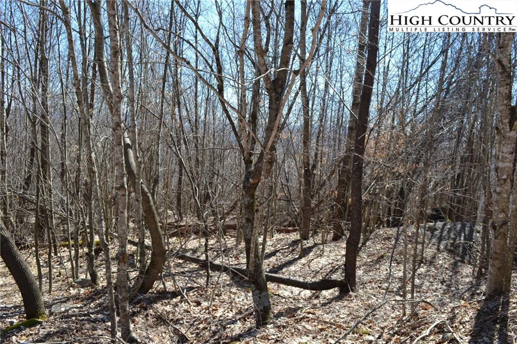 Image number 4 for the current listing